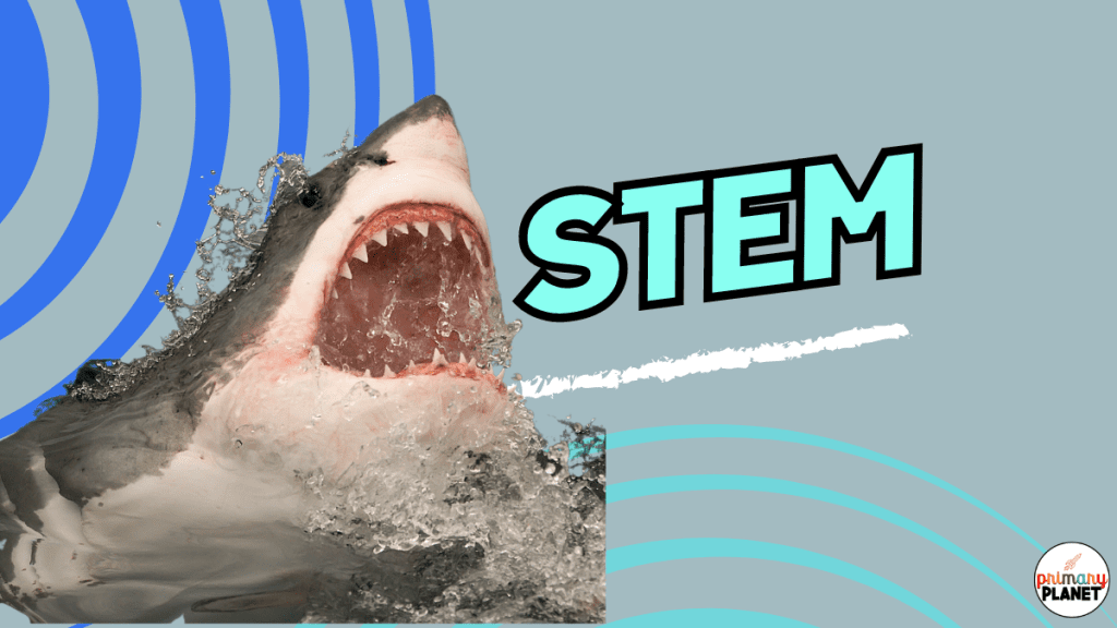 Image of a shark and Text: STEM