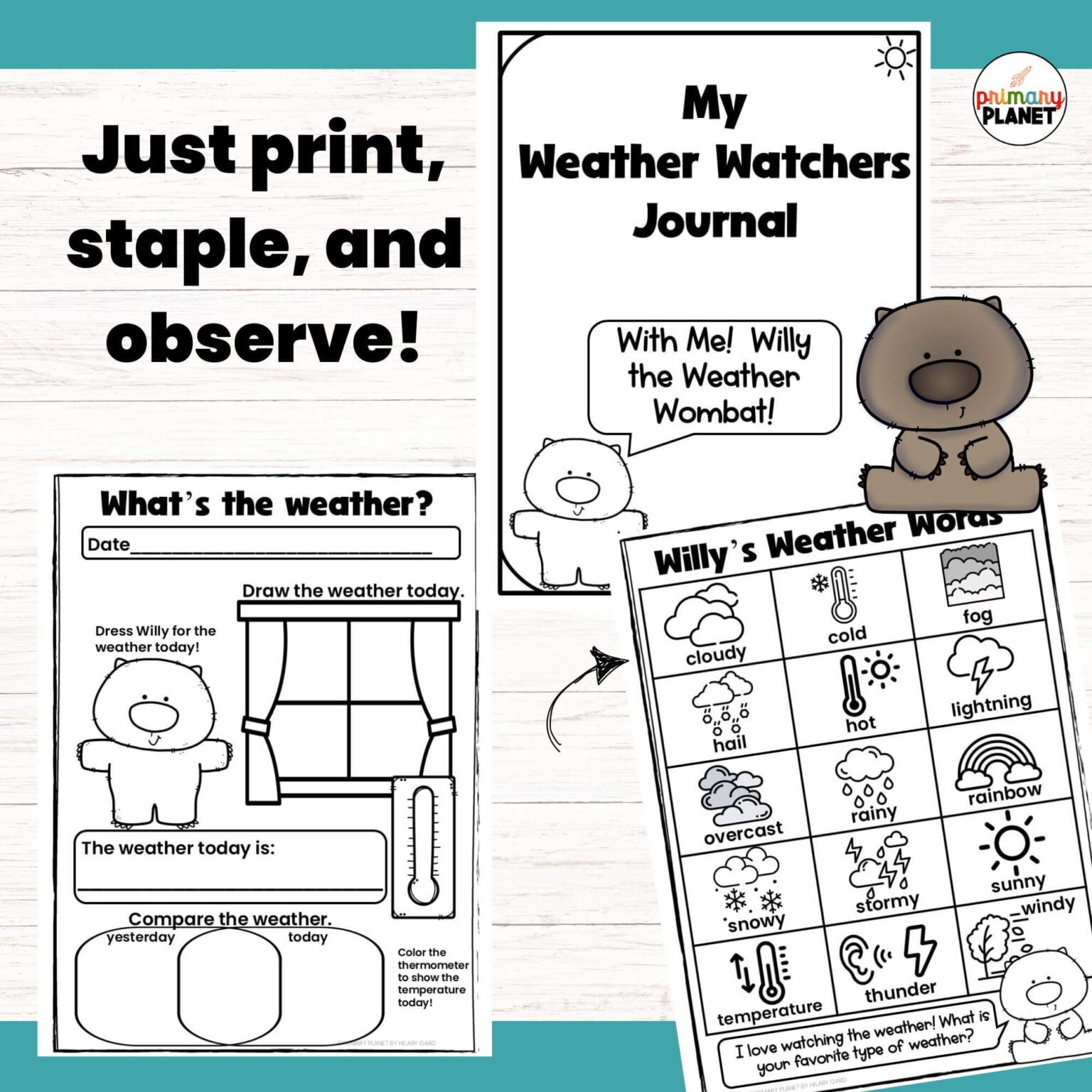 Weather Observation Journal for Kids Printable PDF