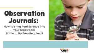 Elementary student observing a critter. Observation Journals for elementary science.