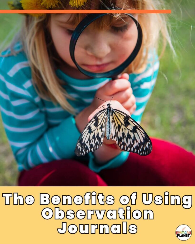 Elementary student observing a critter. Observation Journals for elementary science.