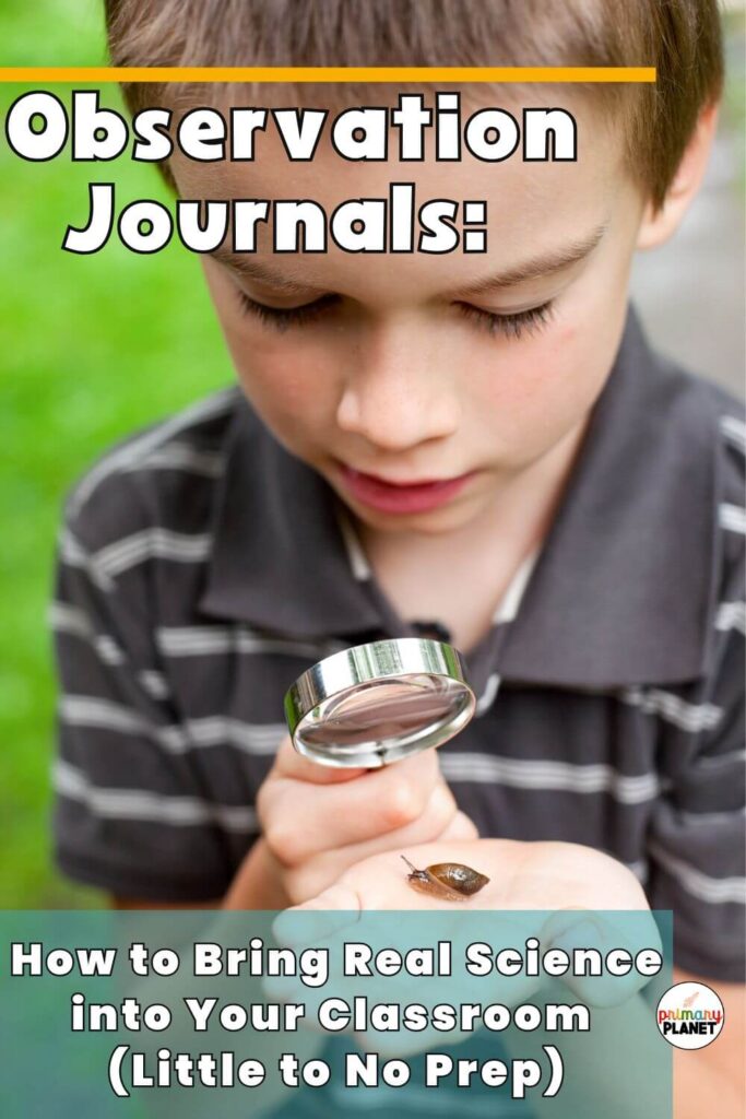Elementary student observing a critter. Observation Journals for elementary science.