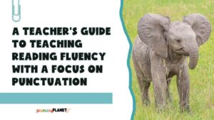 A Teacher's Guide to Teaching Reading Fluency with a Focus on Punctuation.