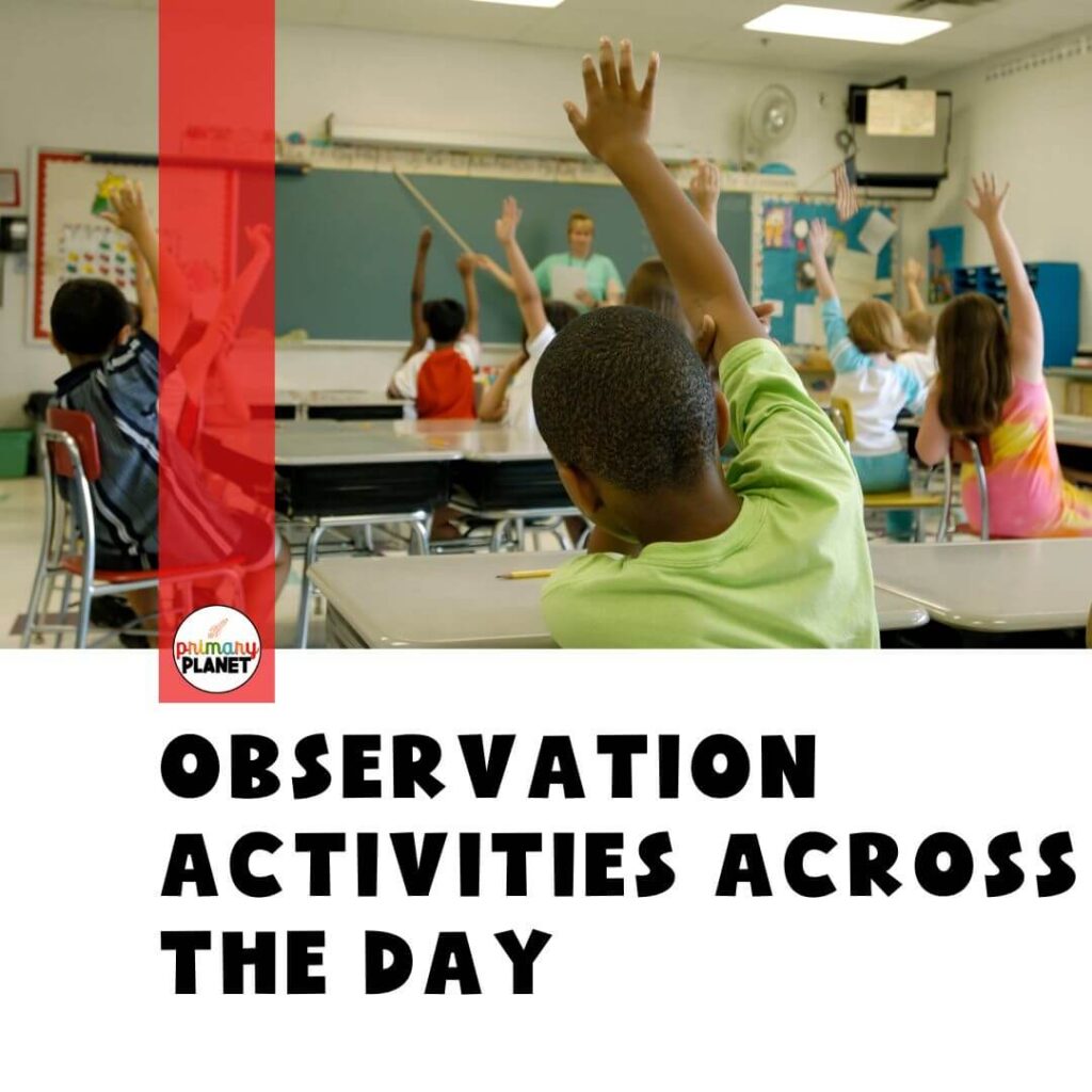 observation activities across the day